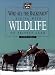 Book Who Ate the Backyard? : Living with Wildlife on Private Land