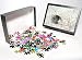 Photo Jigsaw Puzzle of Compass On A Map from Mary Evans