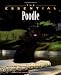 The Essential Poodle (Essential (Howell))