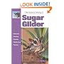 The Guide to Owning a Sugar Glider (Re Series)