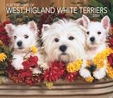 For the Love of West Highland White Terriers 2009 Calendar