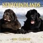Newfoundlands 2004 Calendar