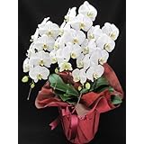 ���i�̏ڍ�