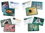 Learning Resources Classifying Cards Bundle (LER2918)