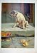 Guiltu Or Not Guilty 1894 Antique Print Dog Fine Art