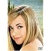 Prelude: The Best of [VHS]