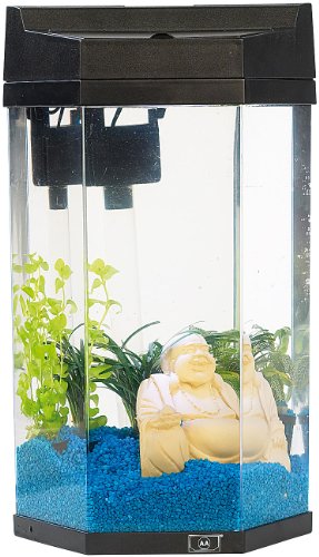 http://ecx.images-amazon.com/images/I/51W7KZvTivL.jpg