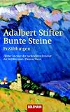 Bunte Steine: Erzählungen