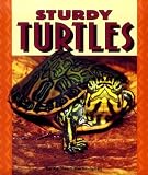 Sturdy Turtles (Pull Ahead Books)