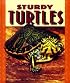 Sturdy Turtles (Pull Ahead Books)