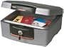 SentrySafe H2300  0.36 Cubic Foot Fire-Safe Waterproof Chest, Silver Gray