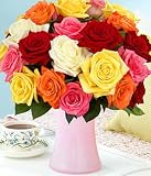 On Sale Two Dozen Rainbow Roses by Proflowers
