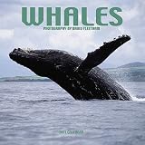 Whales 2001 Calendar