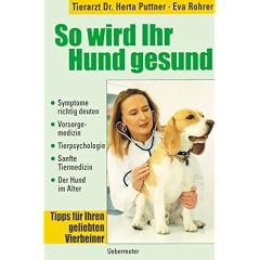 So wird ihr Hund gesund