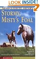 Stormy, Misty's Foal
