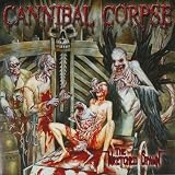 Wretched Spawn [VINYL]