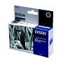 Epson T0481 Ink Cartridge