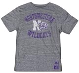 Northwestern Wildcats Gym Class adidas Originals Tri-Blend Vintage Tee