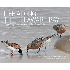 Life Along the Delaware Bay: Cape May, Gateway to a Million Shorebirds by Lawrence Niles, Joanna Burger, Professor Amanda Dey and Professor Jan Van de Kam