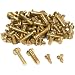 100 Clock Bell Case Screws Brass Clockmaker Tool Parts