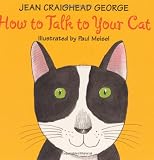 How to Talk to Your Cat