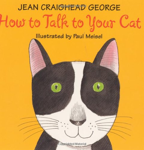 How to Talk to Your Cat
