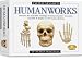 Skullduggery Inc. Eyewitness Kit Humanworks Casting Kit