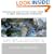 Negotiate and Settle Your Debts - A Debt Settlement Strategy: Learn how to settle debts as low as 20 cents on the dollar (Volume 1)