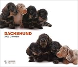 Dachshund Dog 2009 Deluxe Calendar by THE DOG Artlist Collection