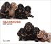   - Dachshund Dog 2009 Deluxe Calendar by THE DOG Artlist Collection