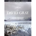 David Gray - Life in Slow Motion book cover