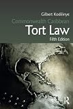 Casebook on torts