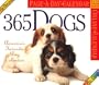 365 Dogs Page-A-Day Calendar 2004 (Color Page-A-Day(r) Calendars)