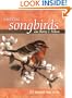Painting Songbirds with Sherry C. Nelson: 15 Beautiful Birds in Oil