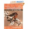Painting Songbirds with Sherry C. Nelson: 15 Beautiful Birds in Oil