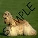 Dogs