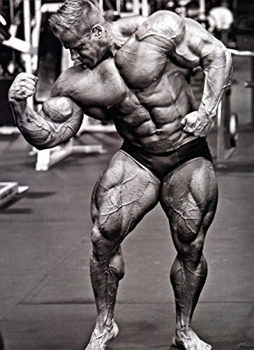 Jay Cutler Muscle male poster 32 inch x 24 inch / 17 inch x 13 inch