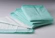 Champion Green Super-Absorbent Underpads, Ultra Large Size 36 x 36, Case/60