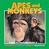 Apes and Monkeys (Our Wild World)