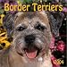 Border Terriers 2004 Calendar