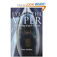 Eye of the Viper: The Making of an F-16 Pilot