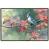Blue Jay Doormat by 