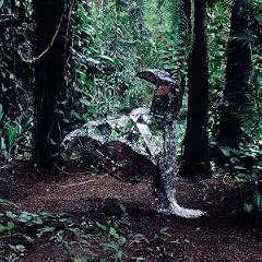 Donkey [VINYL]