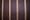 Black Stripes