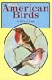 Common American Birds