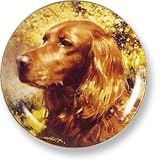 Wild Wings Sporting Dog Plates - Irish Setter - B0006U3858