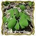 Twinleaf (Jeffersonia diphylla) Jumbo Wildflower Seed Packet - 10 Seeds