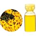 生活の木 C タジェット エッセンシャルオイル 10ml