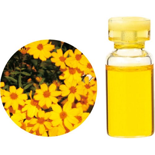 生活の木 C タジェット エッセンシャルオイル 10ml