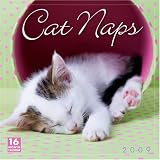 Cat Naps 2009 Wall Calendar 12 X 12